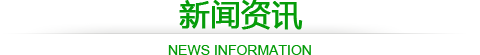 新闻资讯